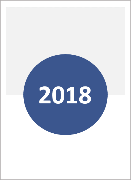 Icon representing 2018 annual report