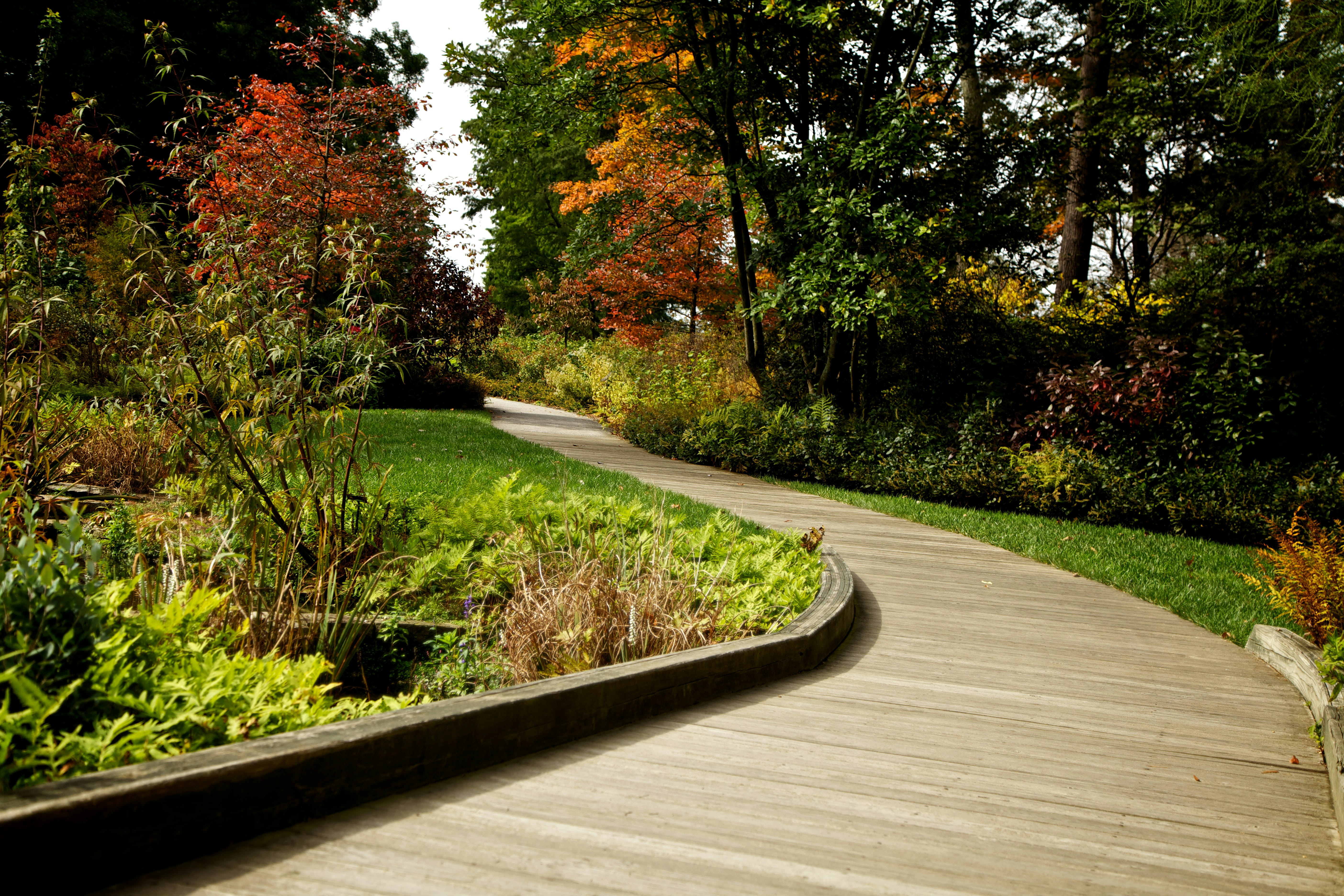 Winding pathway through a park garden with autumn foliage