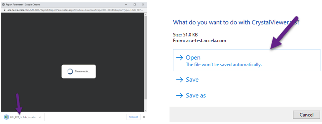 Sample download window