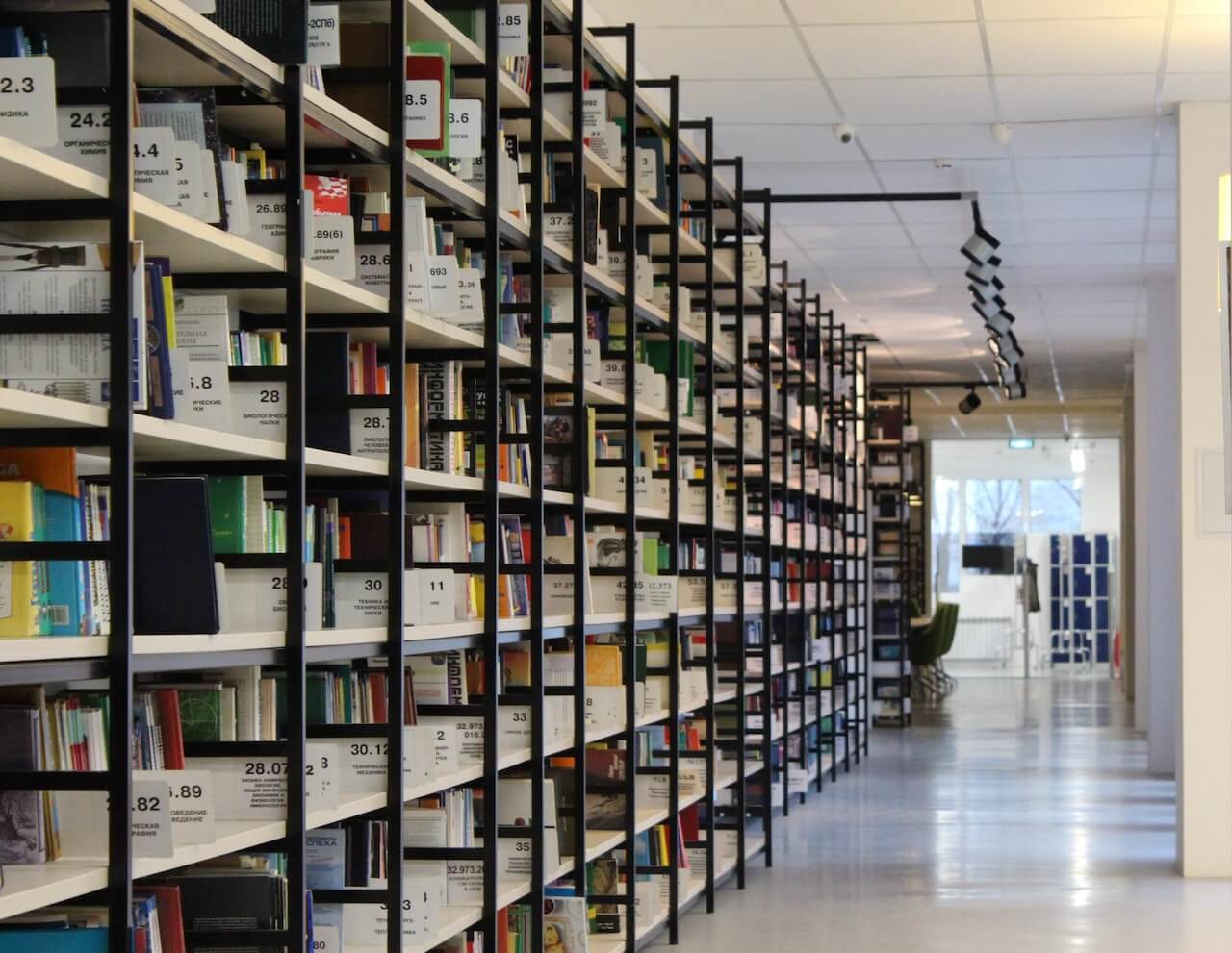 Row of books on a shelf