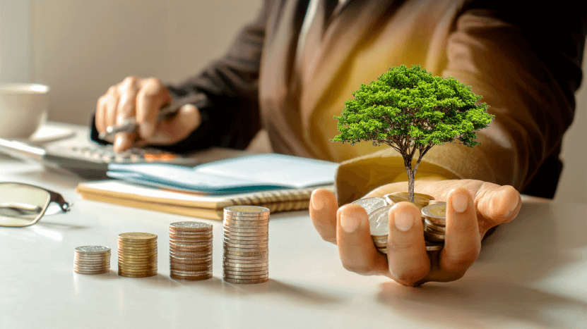 Growing Tree in the Hand of  Businessman