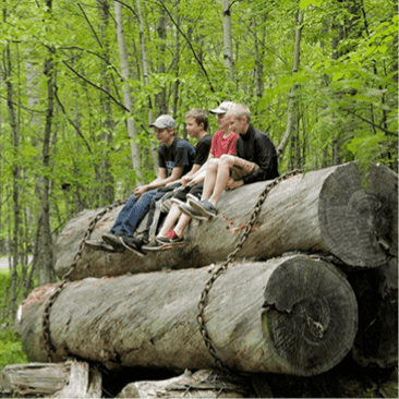 Students sitting on logs.