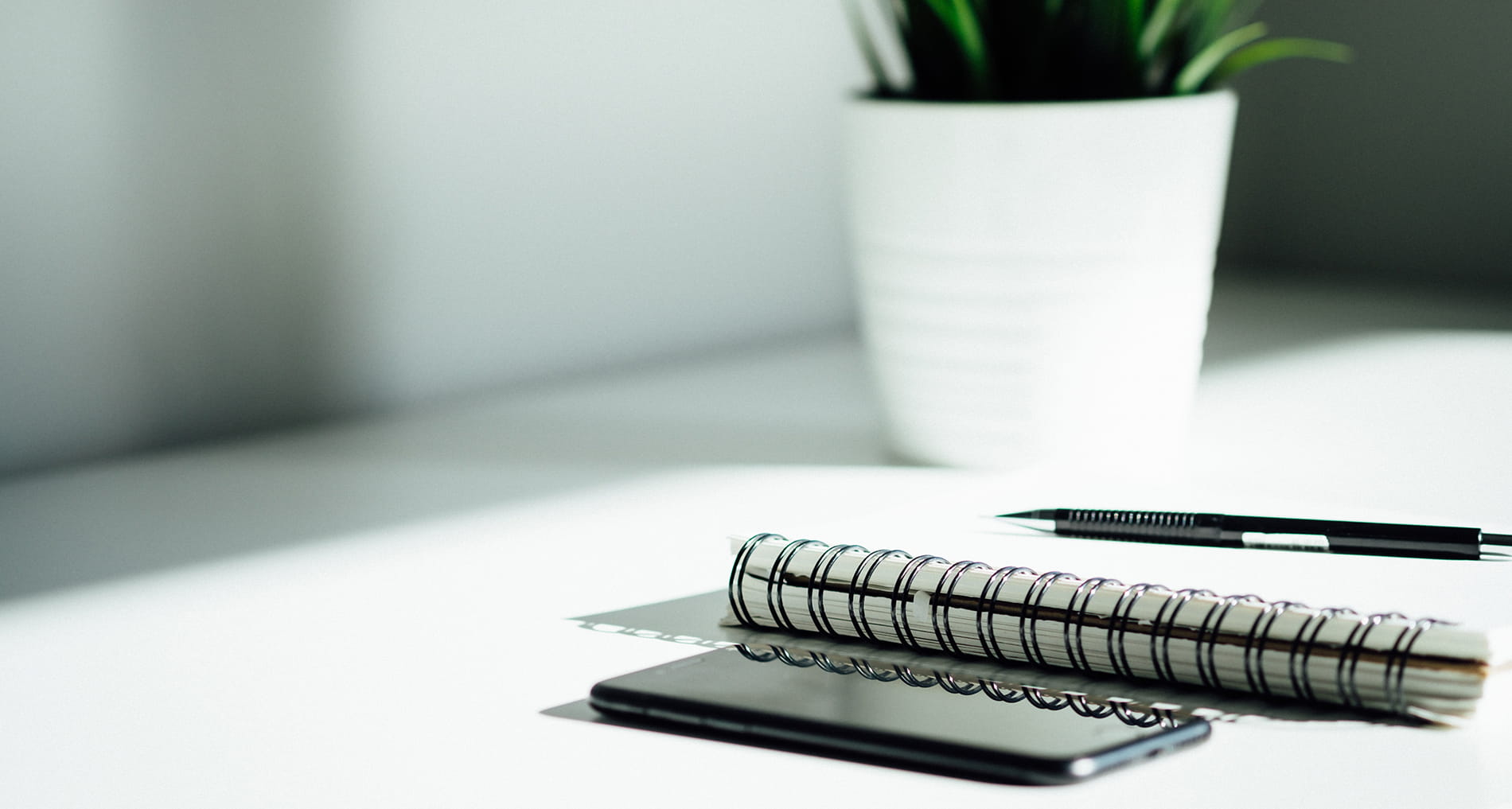 Photo of cell phone, notepad, and pen on table top with plant in background