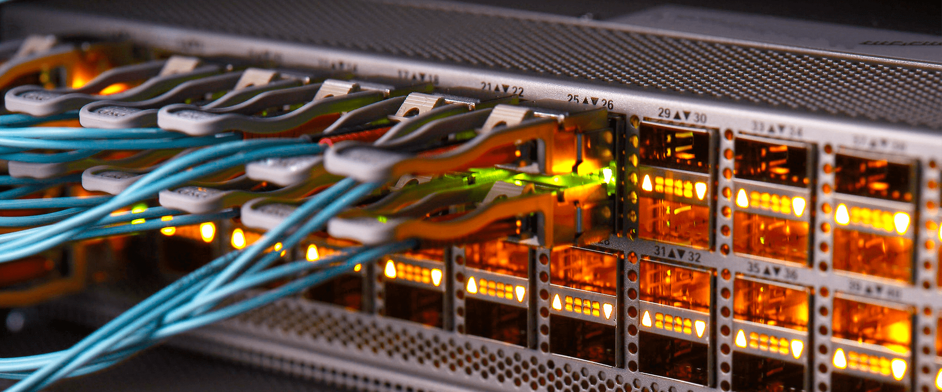 A photo of network cables for a computer.