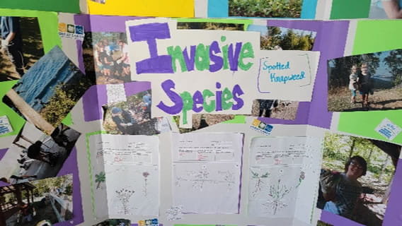 Invasive Species poster