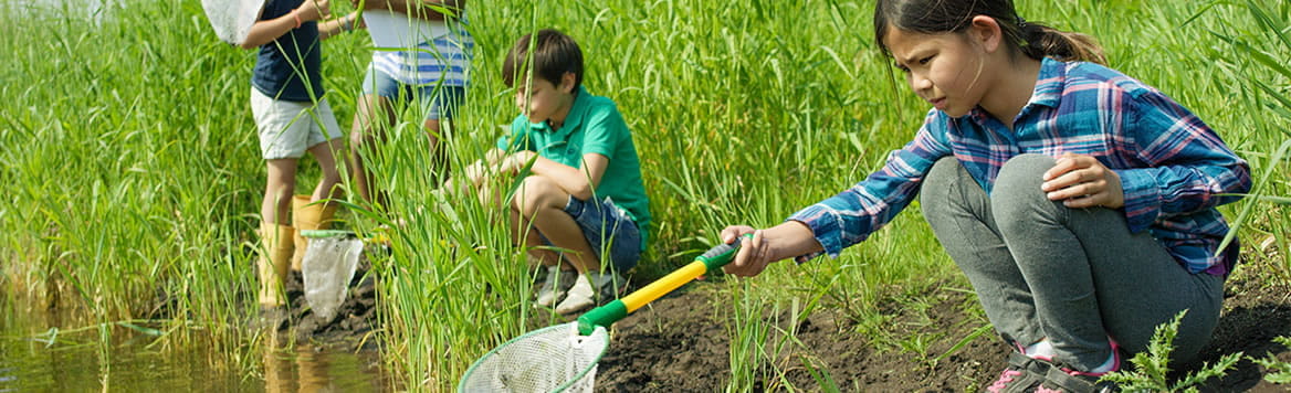 young girl and boy outside dipping nets into freshwater