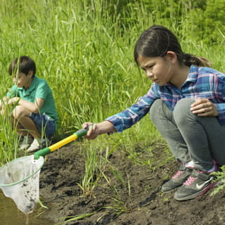 young girl outside dipping net into freshwater