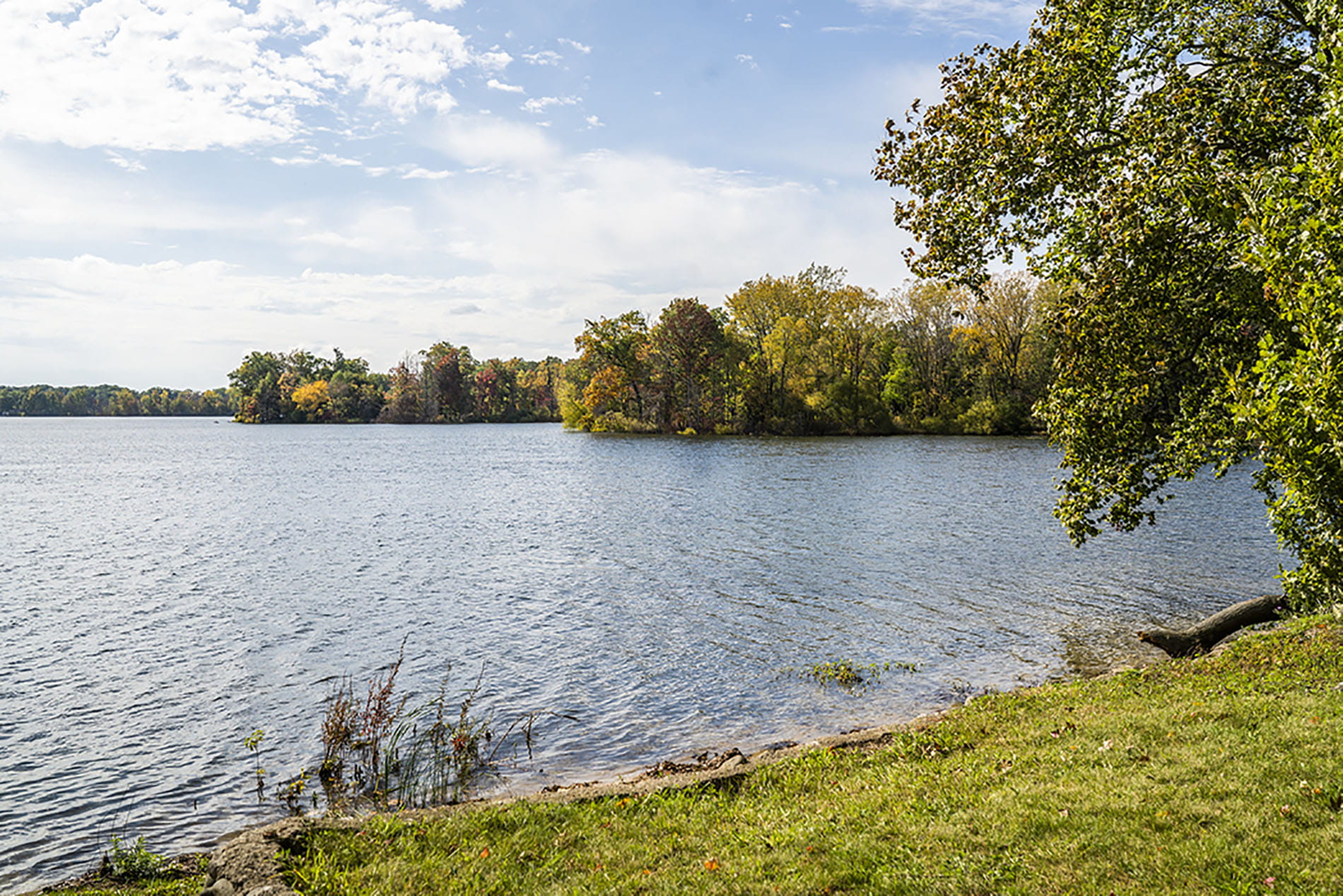 Water and trees view 1900x1267