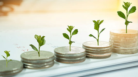 5 stacks of coins with plant buds atop them gradually increasing in size to represent grants and growth
