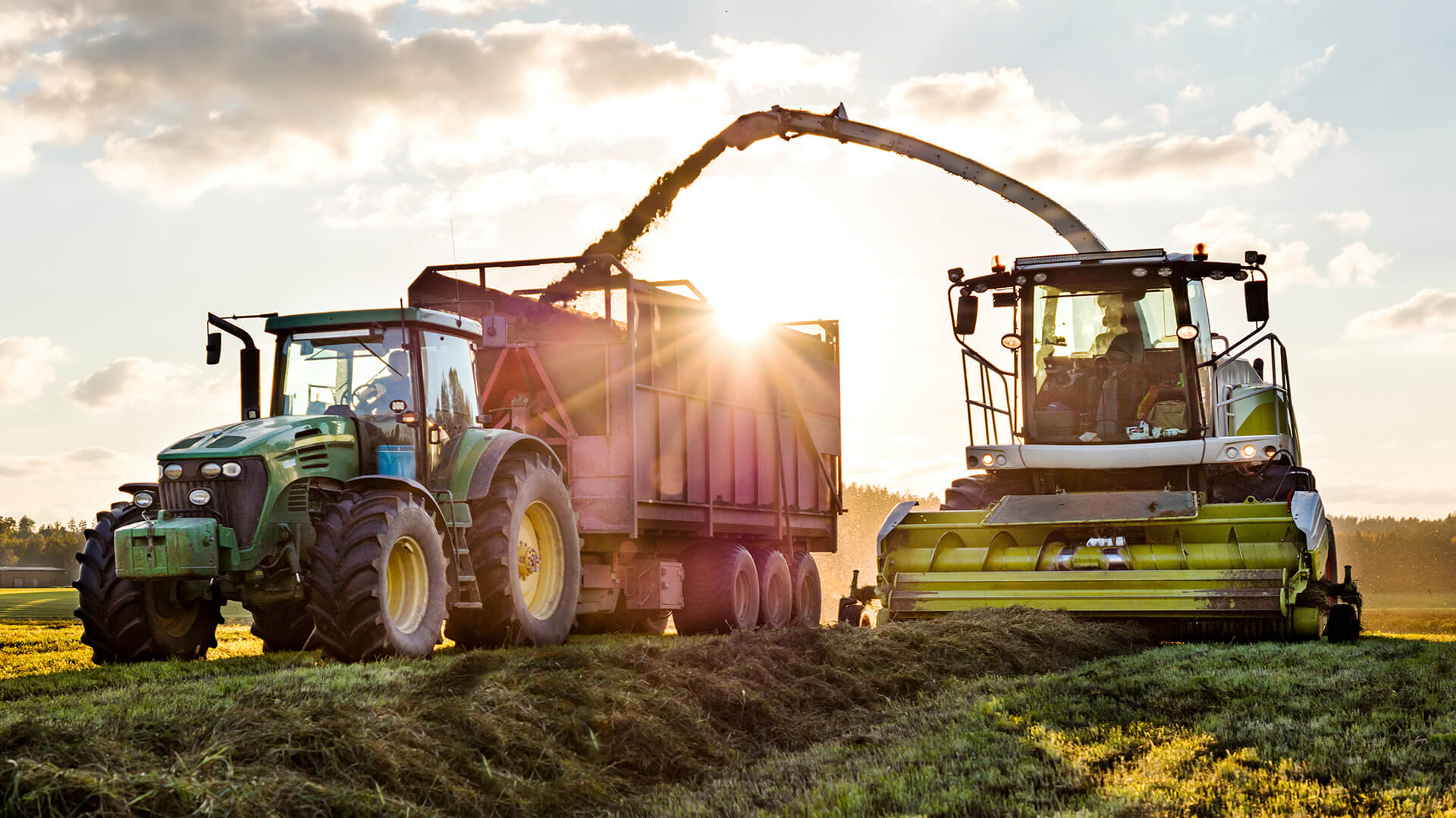 Agricultural workers harvesting crops using modern farming equipment in a field at sunset.