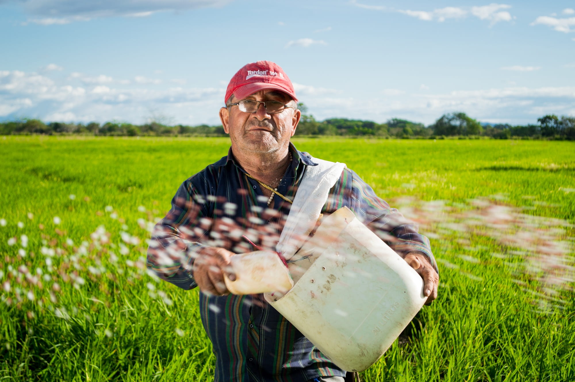 Farmer standing in field
