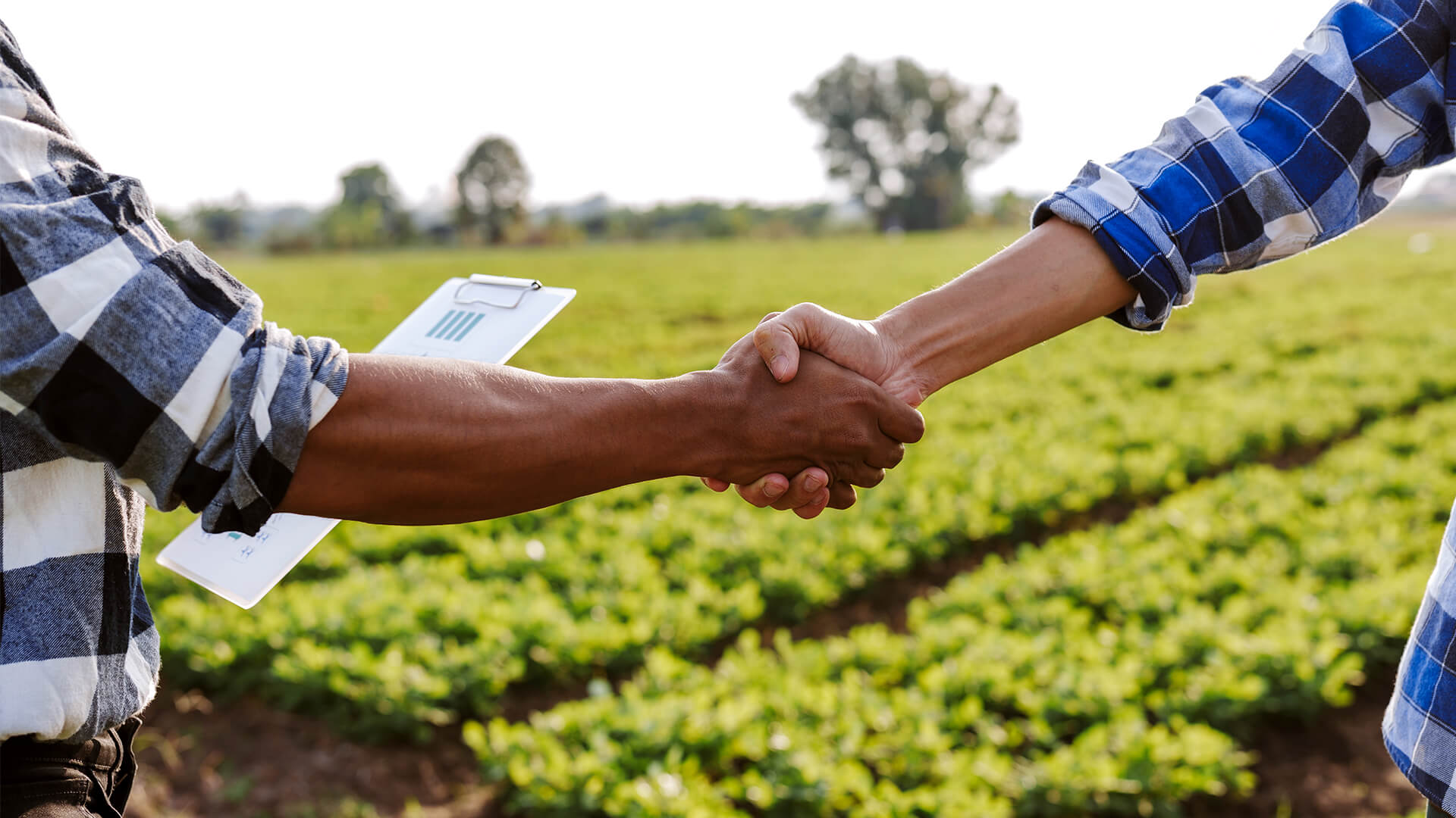 Two people shaking hands in a farm field, one holding a clipboard.