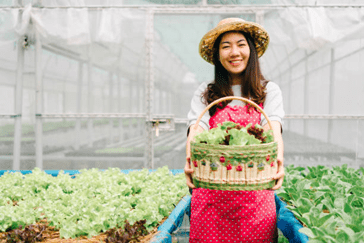 Woman holding basket of lettuce