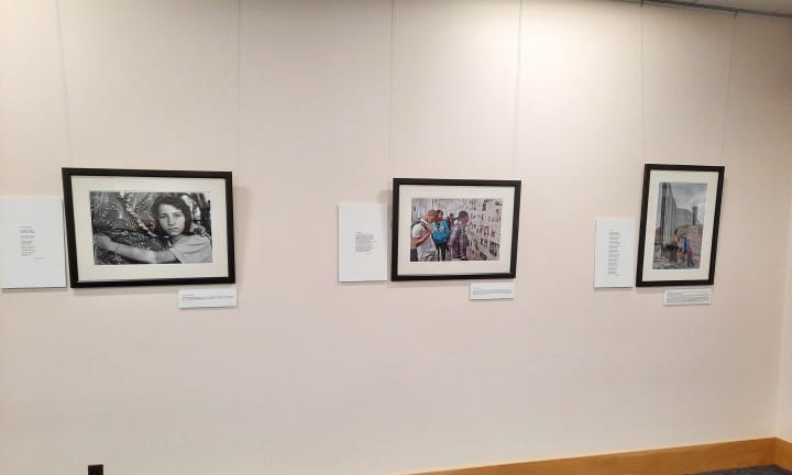 2025 Library of Michigan For Public Exhibits Innocents in Peril 1