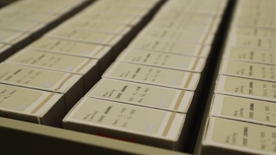 Michigan Materials Library of Michigan Newspapers Link Image Microfilm