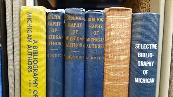 Michigan Materials Michigan Bibliographies Link Image