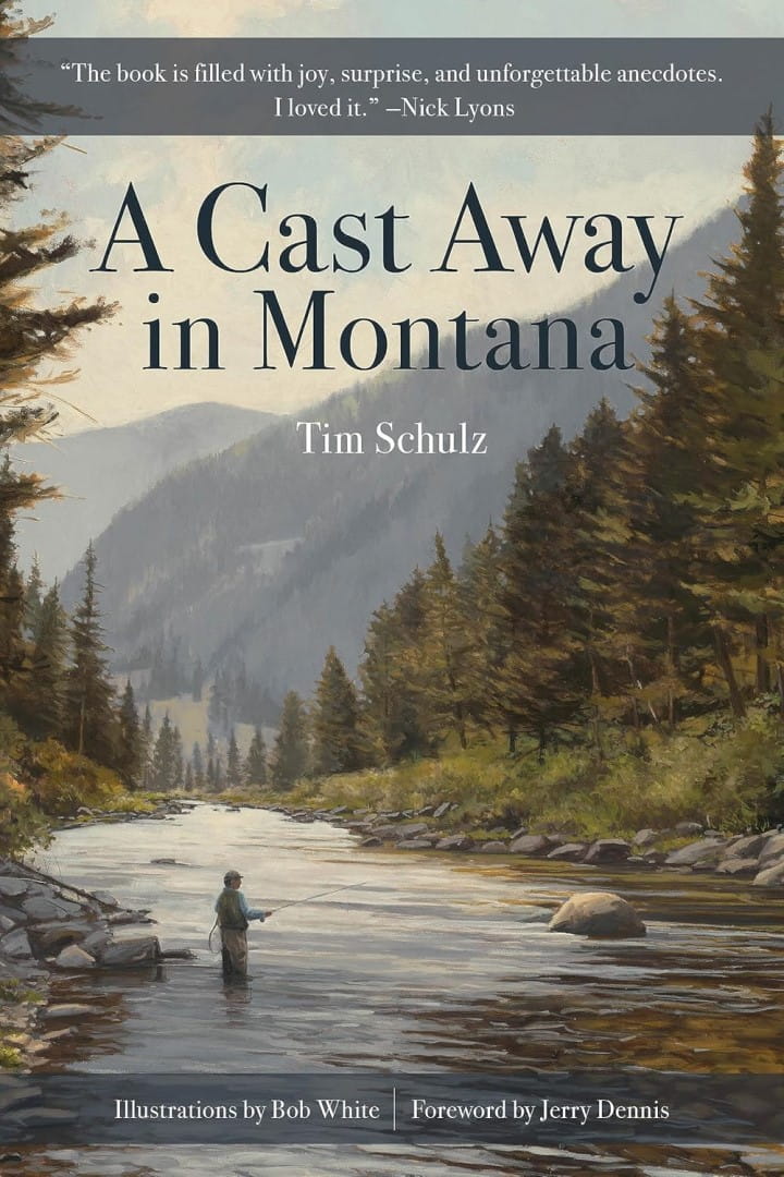 2025 Library of Michigan For Public Michigan Notable Books Cast Away