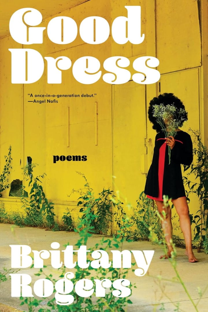 2025 Library of Michigan For Public Michigan Notable Books Good Dress