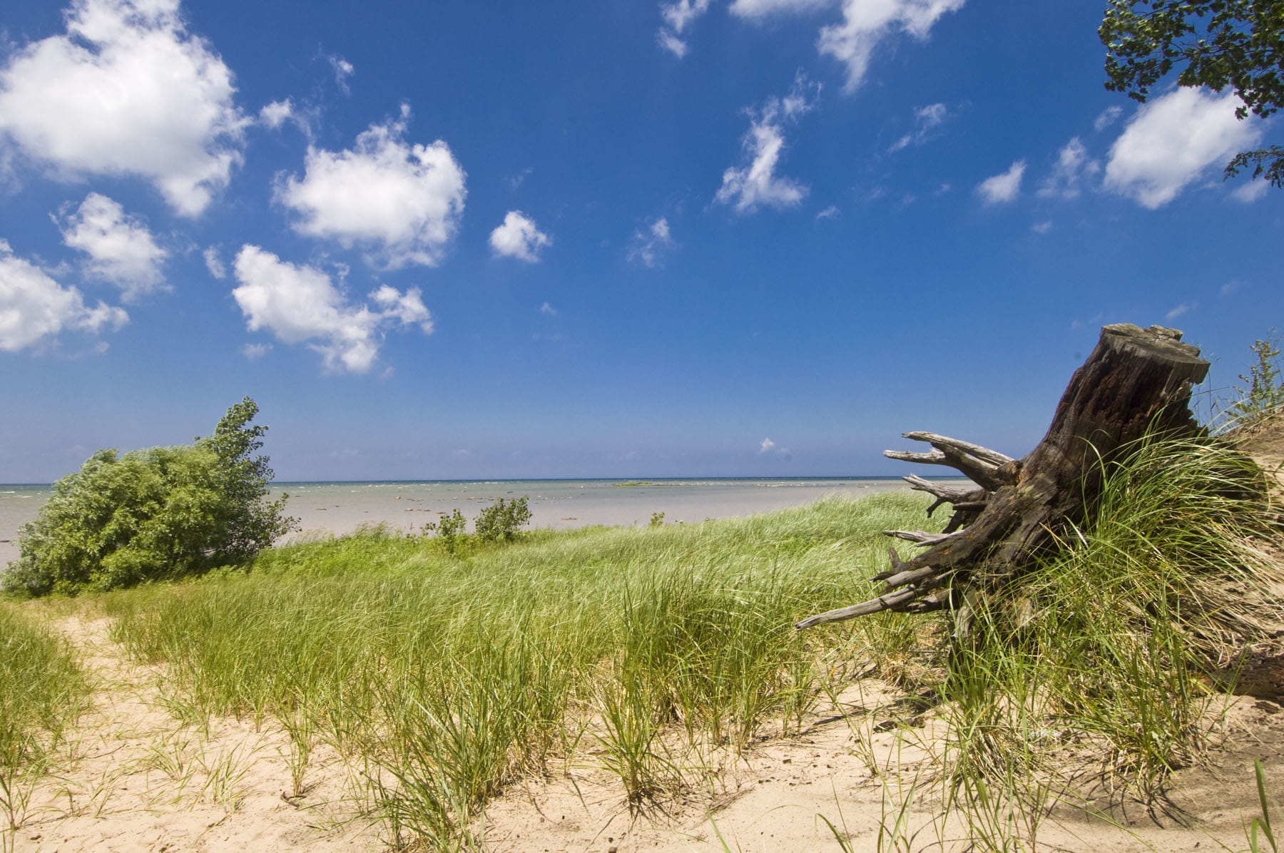 Jenks Roadside Park on M-25 near Port Austin, Huron County.