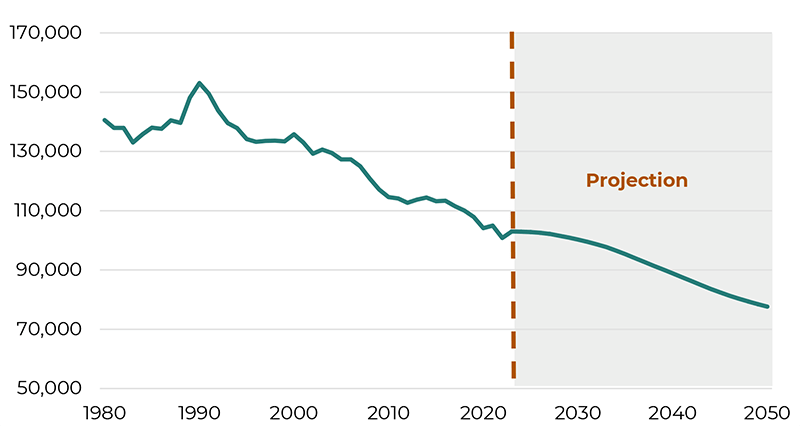 Line graph showing Michigan Historical and Projected Births from 1980 through 2050. Births have declined by about 30 percent since 2000 and are projected to continue declining.