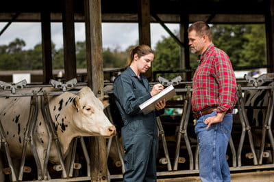Dairy Inspection