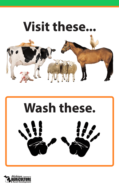 Printable handwashing sign with pictures of animals and text below that says "visit these [animals], wash these [hands]"