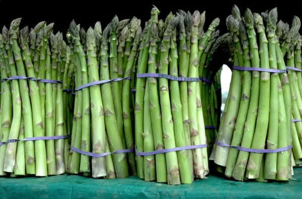 Several clumps of asparagus