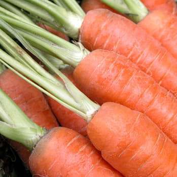 Carrots
