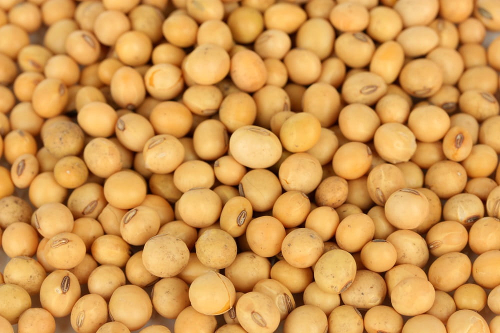 Soybeans