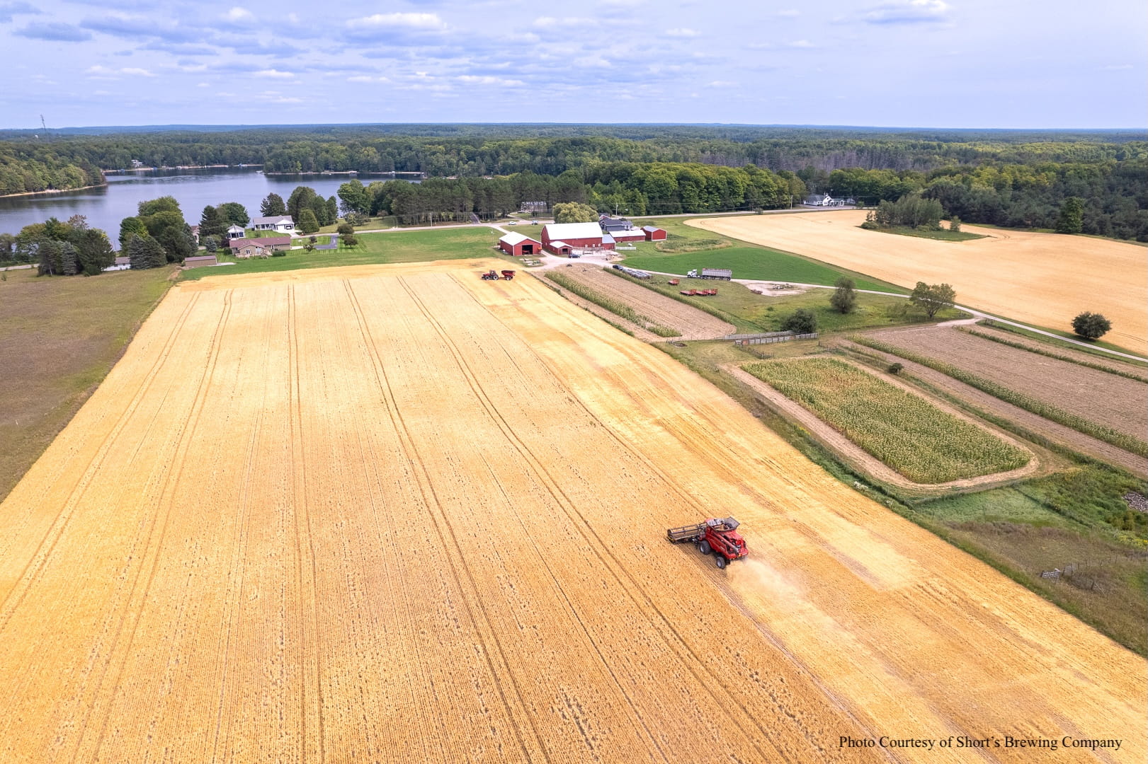 Barley harvesting.
