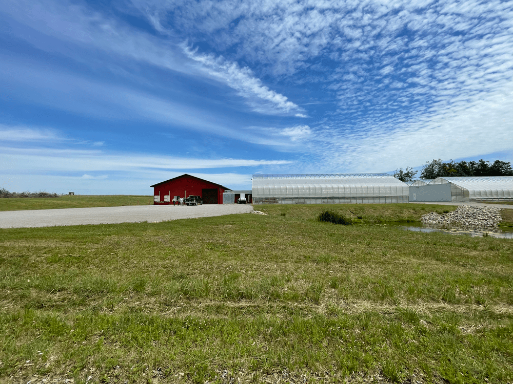 Image of greenhouse facilities.