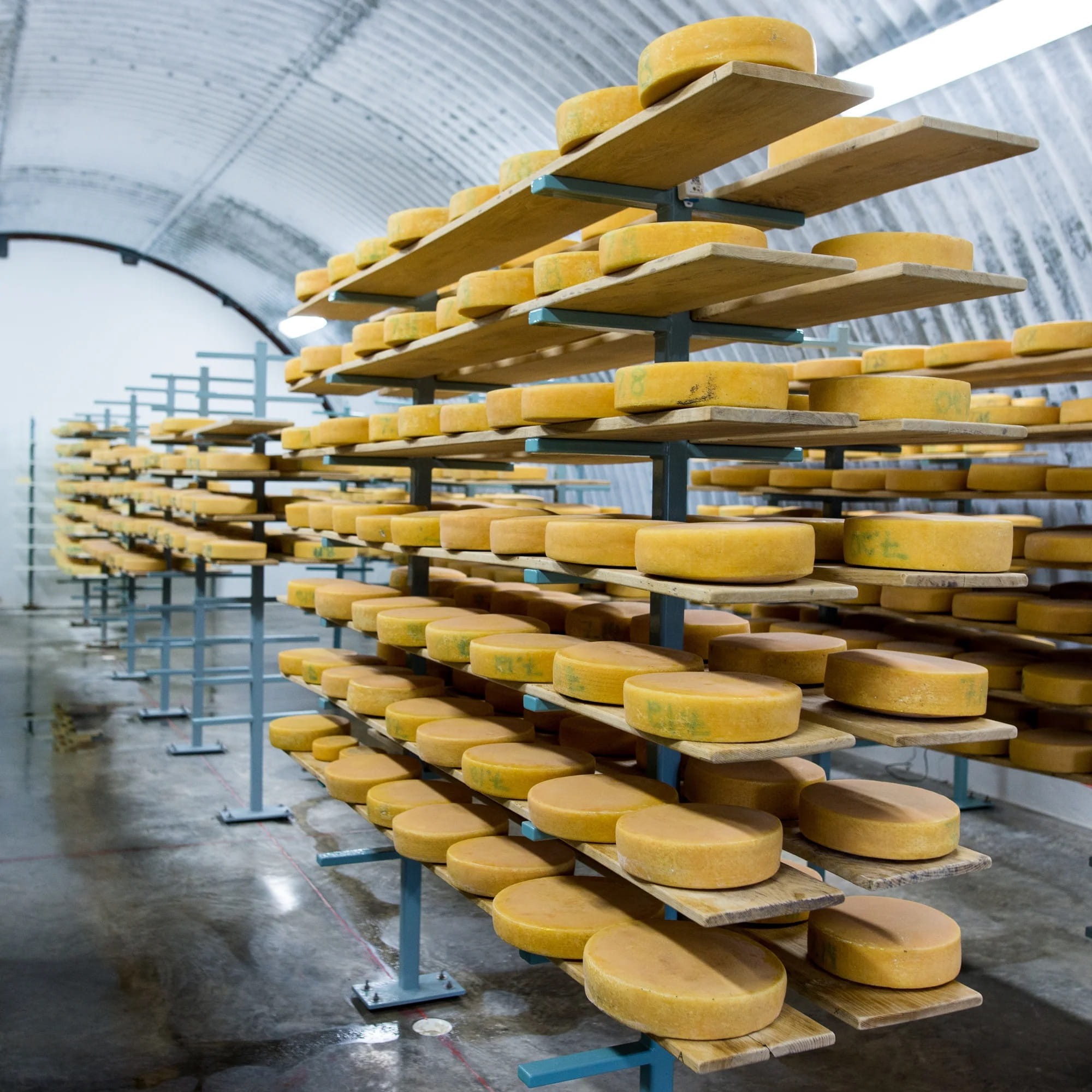 Image of shelves of cheese wheels.