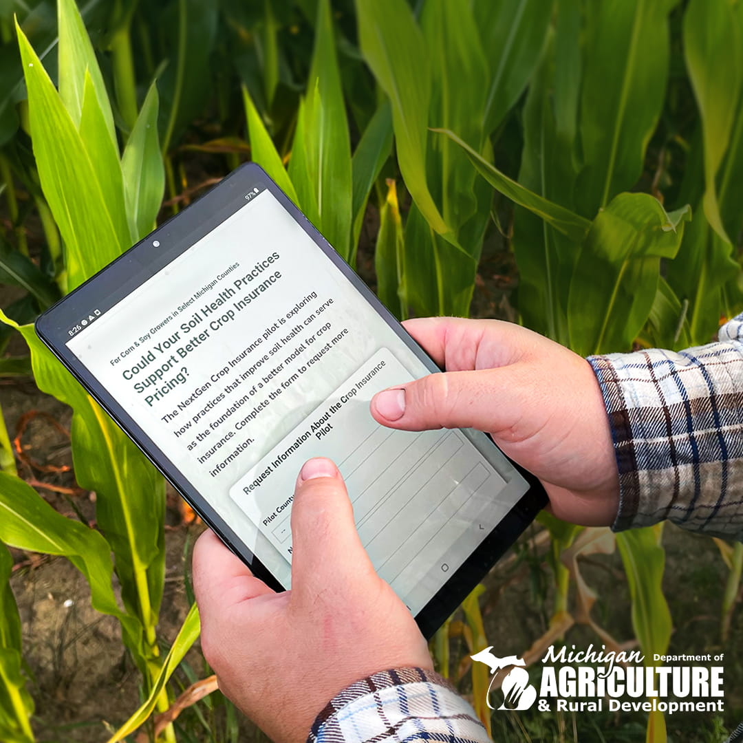 Man holding tablet in front of corn field