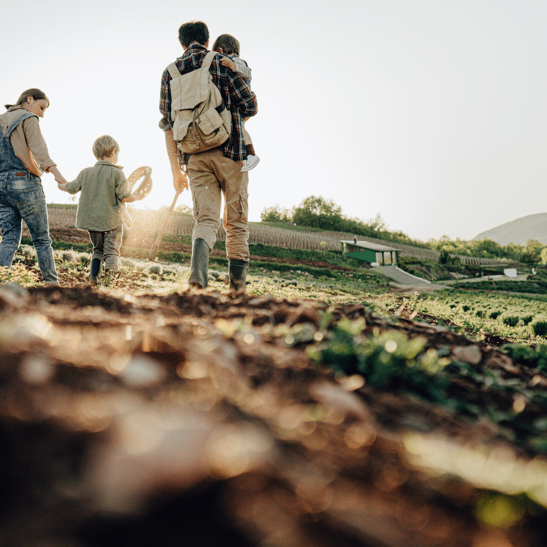 Family walking in field