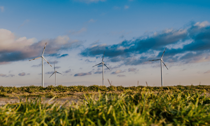 Environmental Sustainability