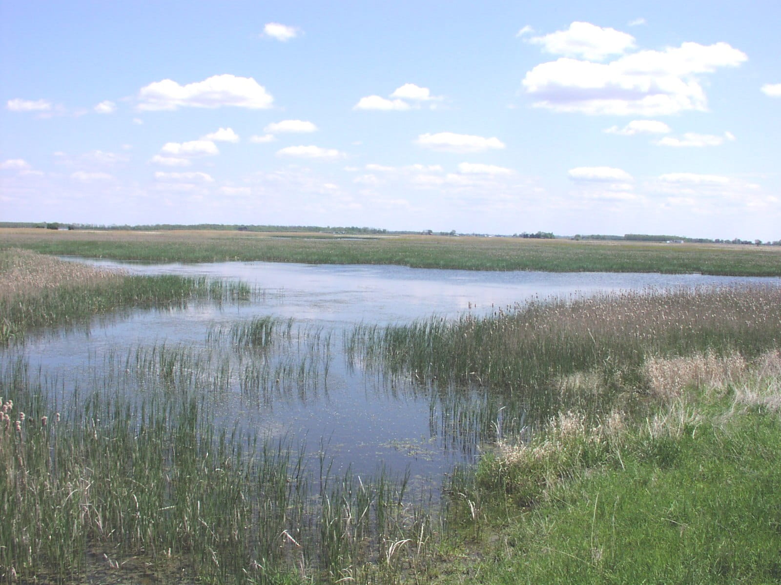 water and land