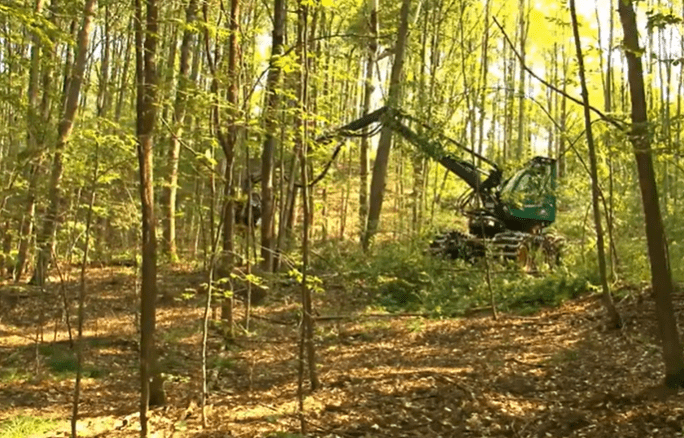 Equipment in a forest to assist in its management.