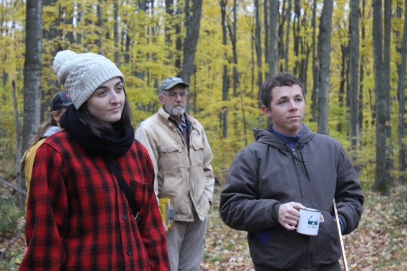 Forestry