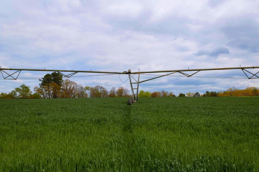 Irrigation pivot watering crops