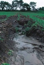 An example of nonpoint source of phosphorus. Soil erosion. 