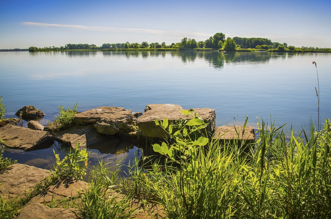 Lake on sunny day