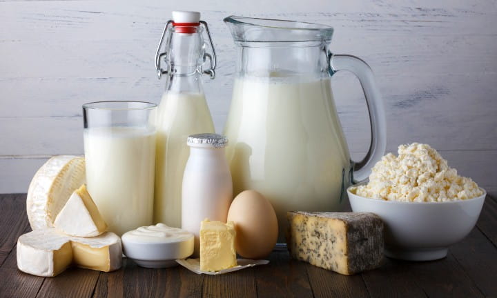 Dairy Industry