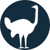 Ostrich