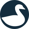Swan