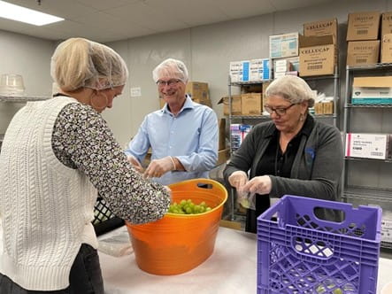 Director McDowell Kids Food Basket 1