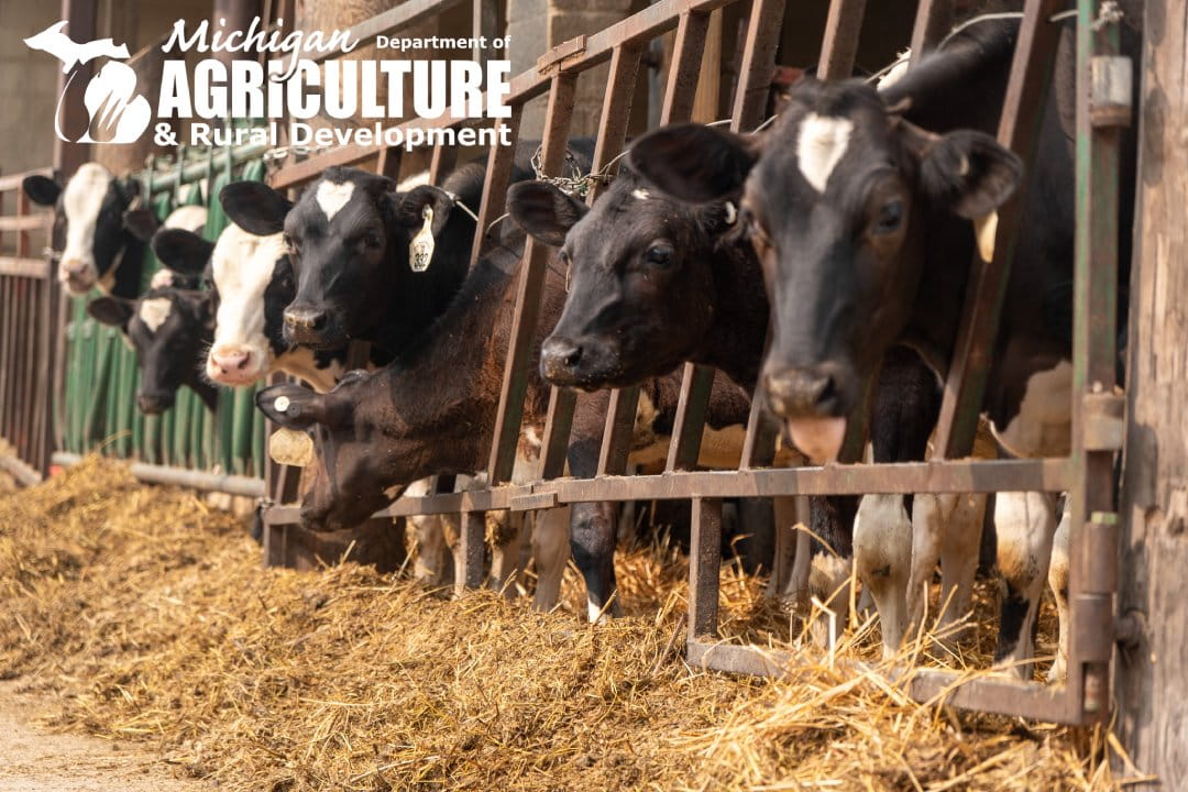MDARD Announces Public Comment Period for Proposed Bovine Tuberculosis Testing Areas