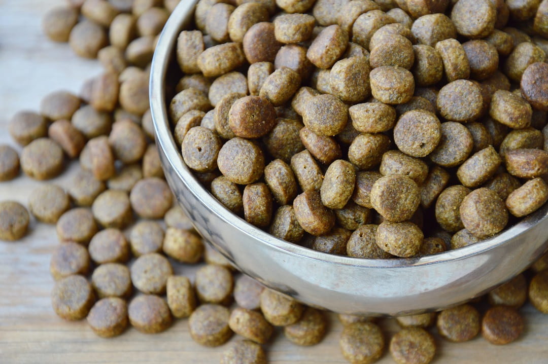 Overflowing bowl of pet food
