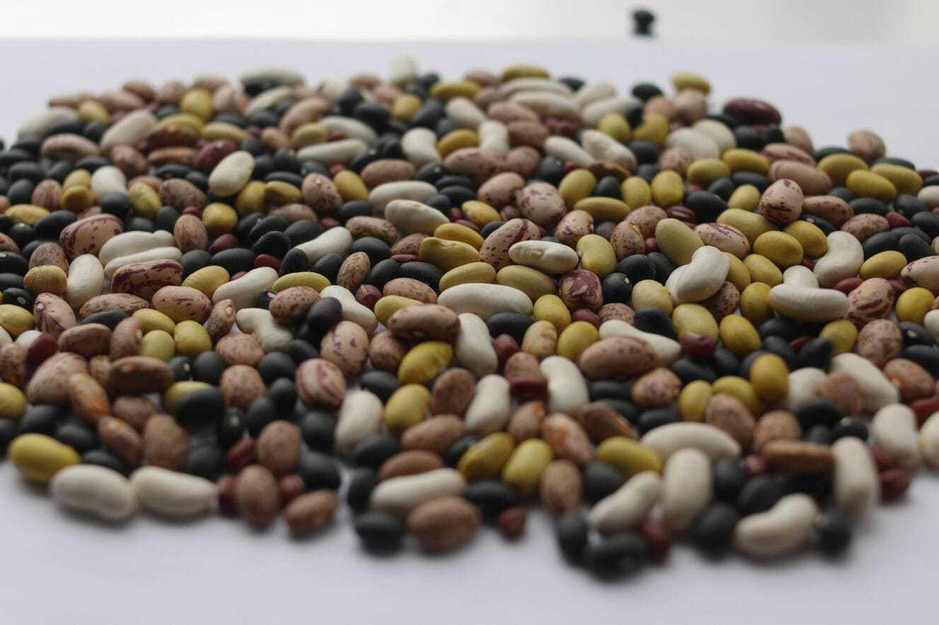 A pile of various kinds of dried beans