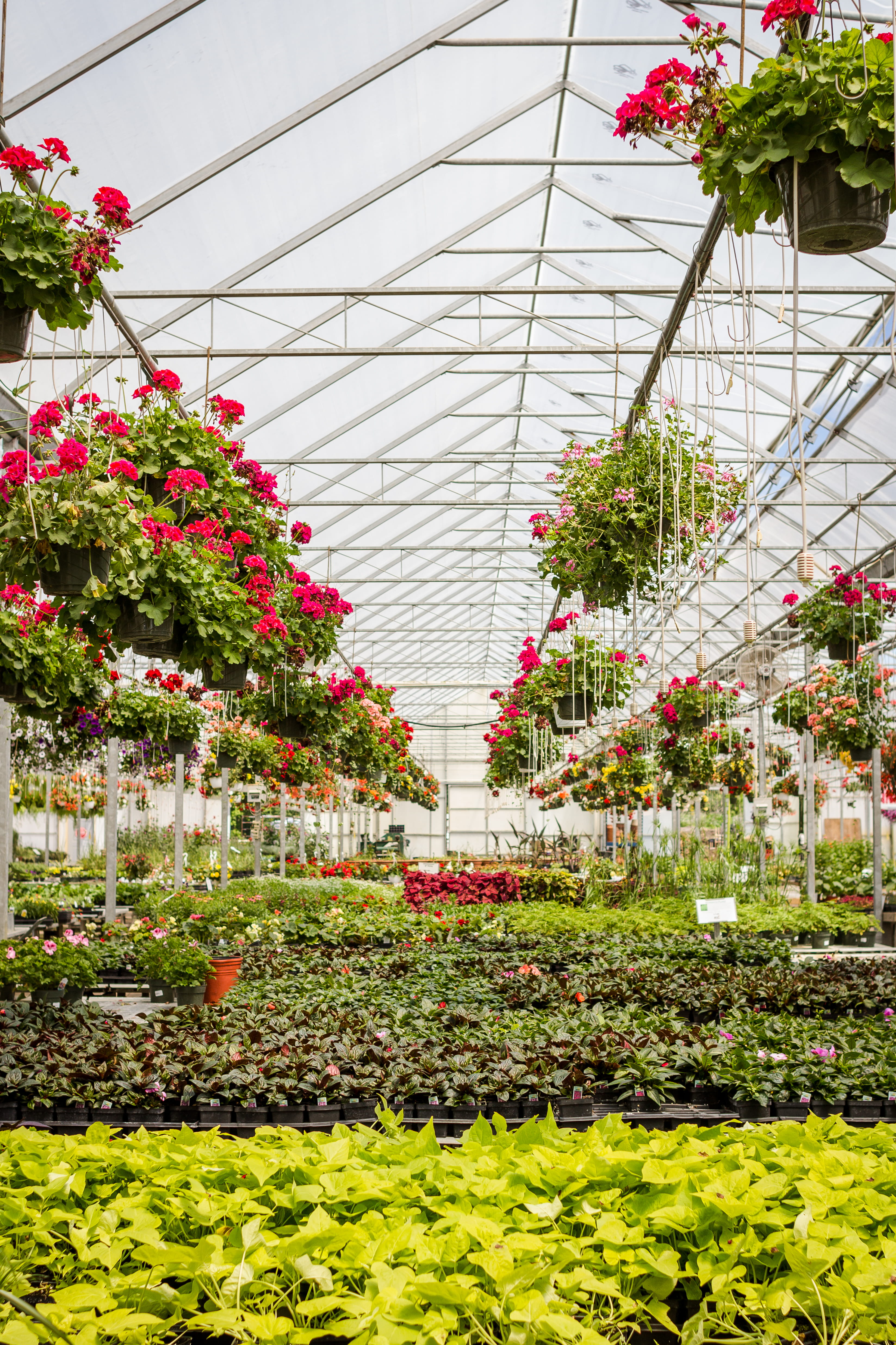 Nursery