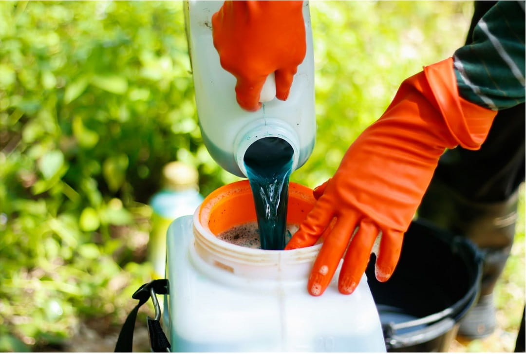 Person pouring pesticide into jug